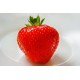 Strawberry (Ripe)  10ml The Flavor Apprentice